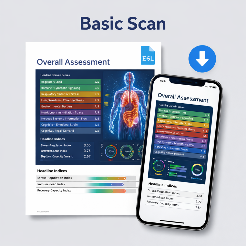 Basic Scan 1 - 4 x scans 1 month